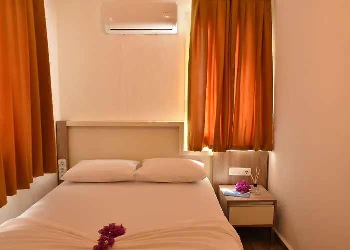 فندق Limon كاس